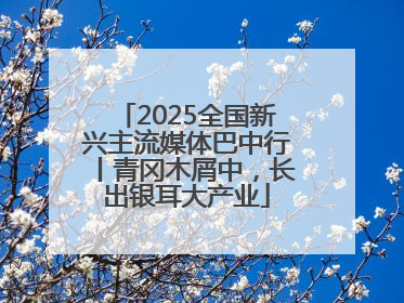2025全国新兴主流媒体巴中行丨青冈木屑中，长出银耳大产业