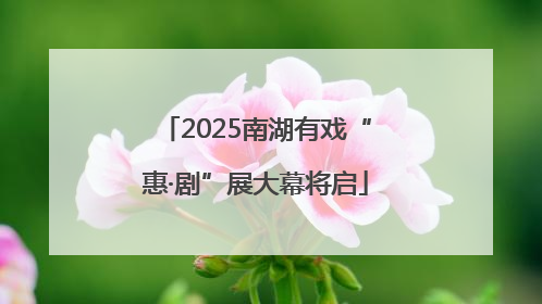 2025南湖有戏“惠·剧”展大幕将启