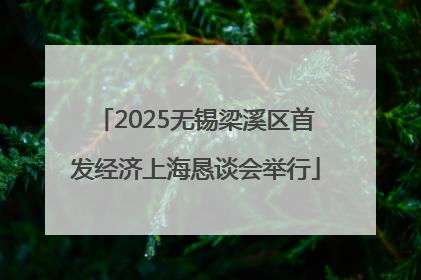 2025无锡梁溪区首发经济上海恳谈会举行
