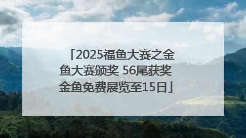 2025福鱼大赛之金鱼大赛颁奖 56尾获奖金鱼免费展览至15日