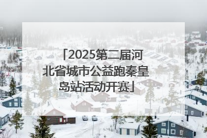 2025第二届河北省城市公益跑秦皇岛站活动开赛