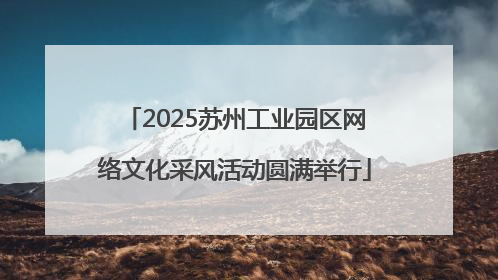 2025苏州工业园区网络文化采风活动圆满举行