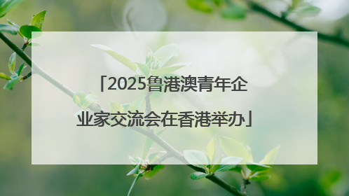 2025鲁港澳青年企业家交流会在香港举办