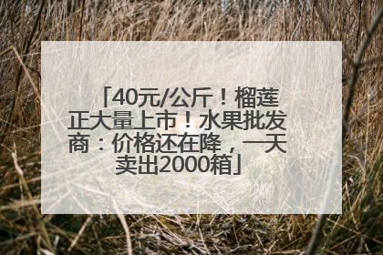 40元/公斤！榴莲正大量上市！水果批发商：价格还在降，一天卖出2000箱