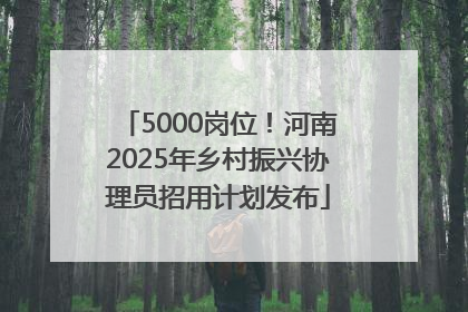 5000岗位！河南2025年乡村振兴协理员招用计划发布