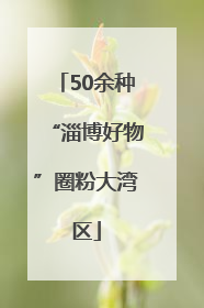 50余种“淄博好物”圈粉大湾区