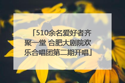 510余名爱好者齐聚一堂 合肥大剧院欢乐合唱团第二期开唱