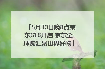 5月30日晚8点京东618开启 京东全球购汇聚世界好物