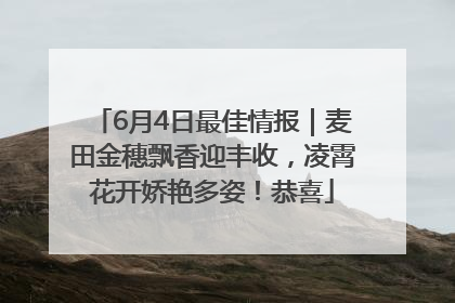 6月4日最佳情报｜麦田金穗飘香迎丰收，凌霄花开娇艳多姿！恭喜