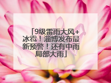 9级雷雨大风+冰雹！淄博发布最新预警！还有中雨局部大雨