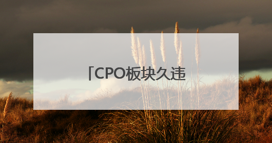 CPO板块久违大涨，“易中天”谁更胜一筹
