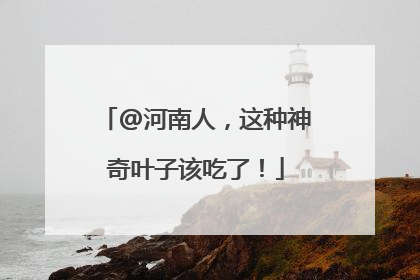 @河南人，这种神奇叶子该吃了！