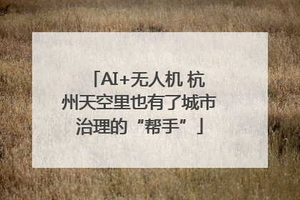 AI+无人机 杭州天空里也有了城市治理的“帮手”