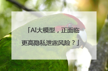 AI大模型，正面临更高隐私泄露风险？