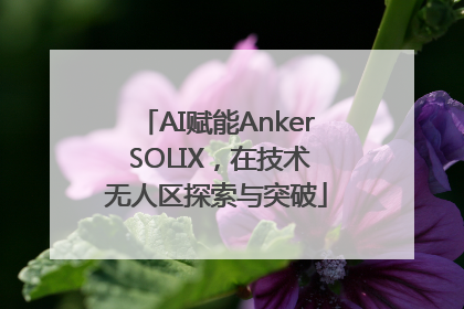 AI赋能Anker SOLIX，在技术无人区探索与突破