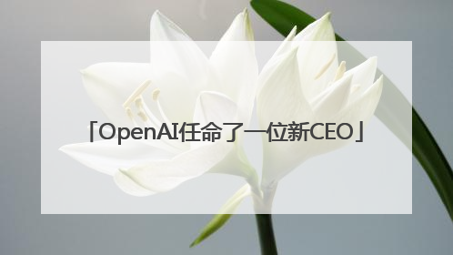 OpenAI任命了一位新CEO